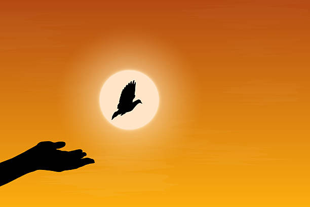 istock Symbolizing freedom and hope, a bird soars into a golden sunset. Perfect for projects about nature, independence, inspiration, and tranquillity, the beauty and peace of limitless possibilities. 2237711784