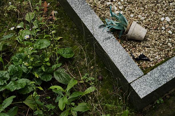 istock Fallen flowe pot lying near cemetery grave with plants and stone border 2237712643