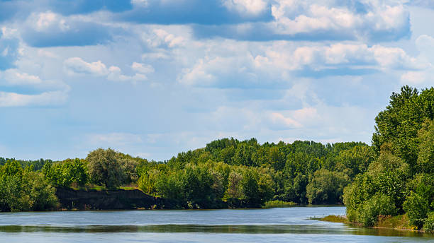 istock river and forest, beautiful summer landscape, river bank and water stream 2237712903