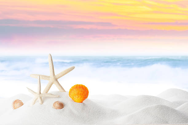 istock Starfish On White Sand Beach with Ocean Wave Splashing 2237716250
