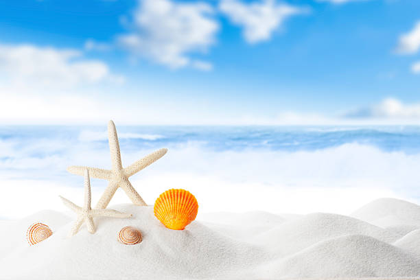 istock Starfish On White Sand Beach with Ocean Wave Splashing 2237716294
