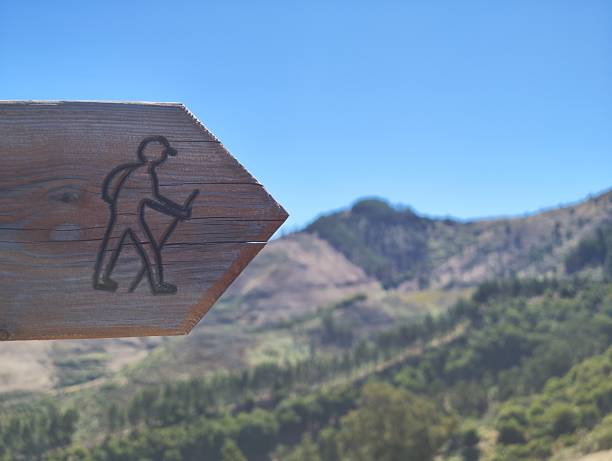 istock Arrow hiking signal in wood 2237717632