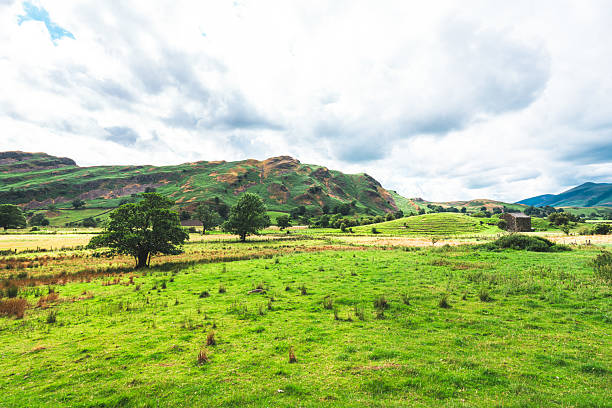 Green meadow stretching towards rolling hills and a stone barn under a cloudy sky