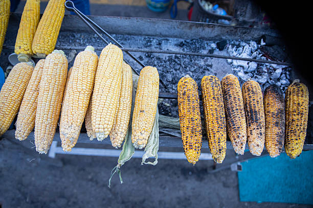 Cooking corn over glowing embers, with both raw and roasted corn on the grill.