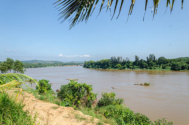 istock Netravati River at Thumbe in Mangalore, India 2237720099