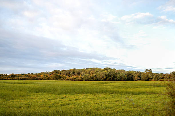 Golden sunset with dramatic clouds over English countryside fields and trees. High quality photo