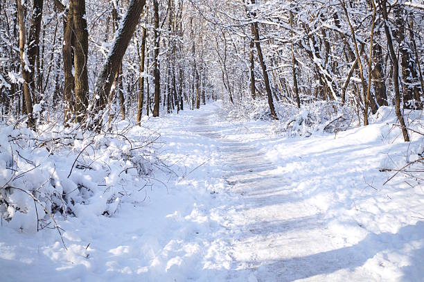 Winter walk along a footpath in Wildwood Community Park