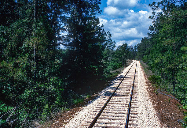 istock Texas State Railroad SP - Receding Track - 1984 2237728899