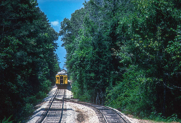 Texas State Railroad SP - 2nd Train Emerges from Siding - 1984