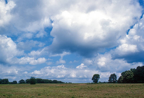 istock Texas State Railroad SP - Texas Countryside - 1984 2237728982