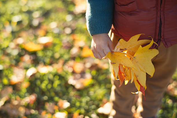 Little cute redhead boy hiking and picking autumn leaves in Mont Tremblant National Park in Autumn, Quebec, Canada. He is smiling and holding a red maple leaf.