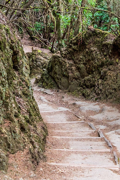 istock Anaga Rural Park, Tenerife Island. 2237732170