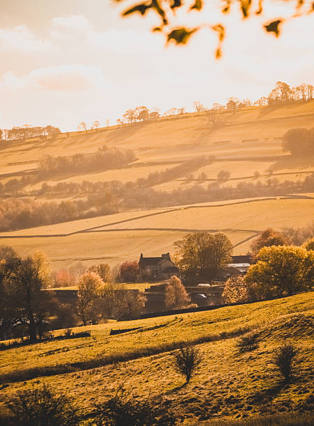 istock Autumnal Fields of Gold 2237743884