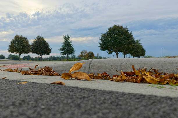 Autumn leaves collecting curbside.