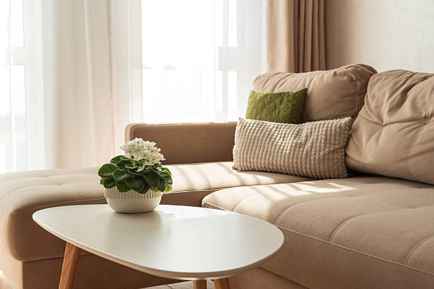 istock Cozy Living Room with African Violet on Coffee Table 2237745967