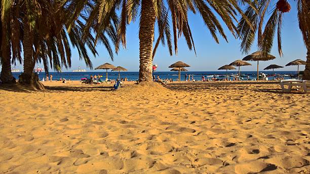 Best of Teresitas Beach Tenerife