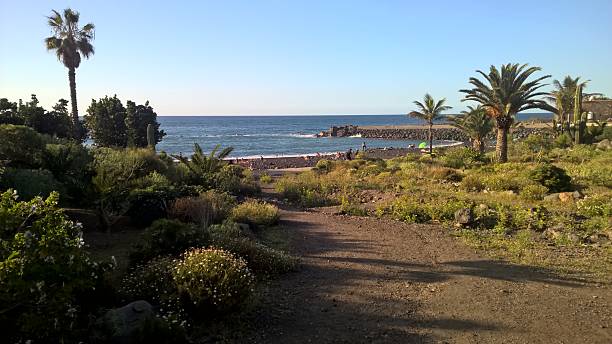 istock Puerto de la Cruz Tenerife 2237755053