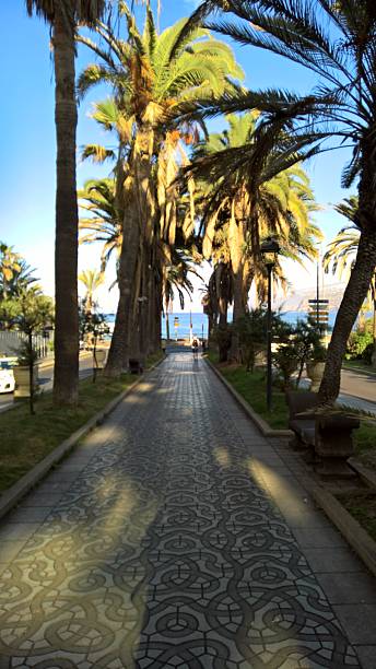 istock Puerto de la Cruz Tenerife 2237755215