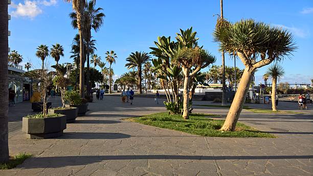 istock Puerto de la Cruz Tenerife 2237755232