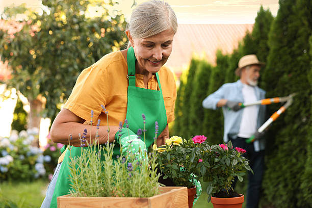istock Senior couple working with plants in garden, selective focus 2237758450