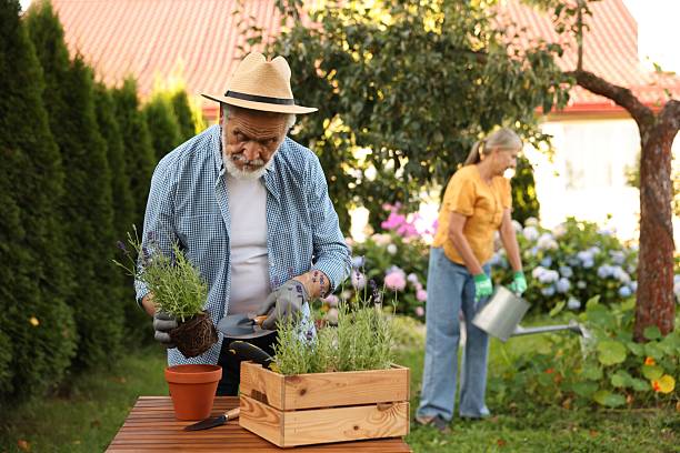 istock Senior couple working with plants in garden, selective focus 2237758487