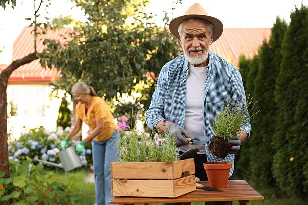 istock Senior couple working with plants in garden, selective focus 2237758796