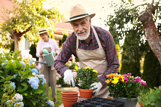 istock Senior couple in hats working with plants in garden, selective focus 2237758848