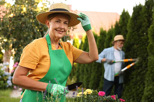 istock Senior couple in hats working with plants in garden, selective focus 2237759412