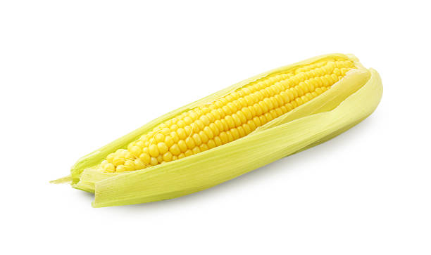 istock One tasty boiled corncob isolated on white 2237759919
