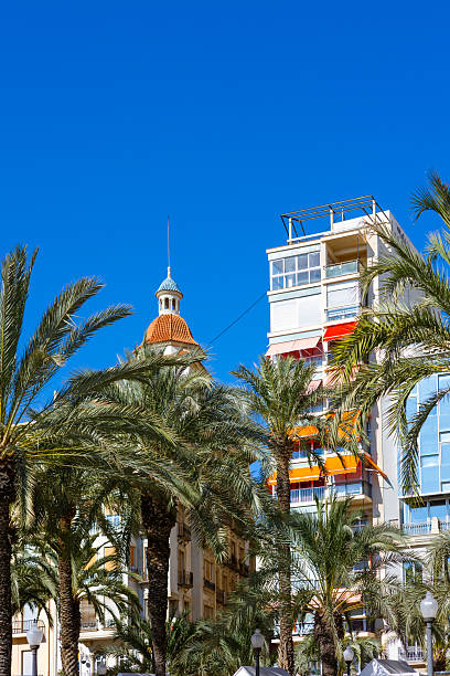 istock Traditional and modern architecture with lush palm trees on the famous Explanada de Espana promenade in Alicante, Spain. A perfect summer travel destination on a sunny day. 2237759953