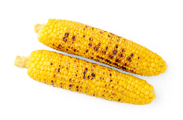 istock Two tasty grilled corncobs isolated on white, top view 2237759960