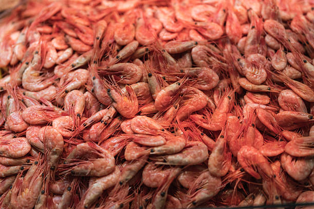 Close up of freshly caught shrimp displayed in bulk at a seafood market, highlighting commercial fishing and the importance of sustainable seafood.