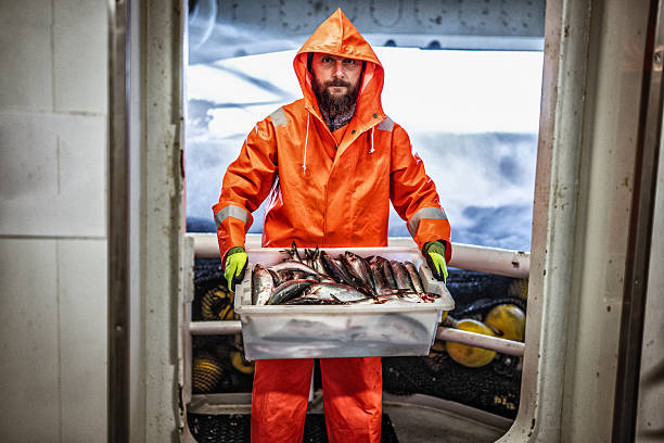 istock Fisherman holding crate of fresh fish on boat 2237761585