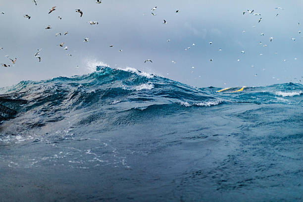 istock Powerful ocean wave in the North Atlantic sea 2237761892