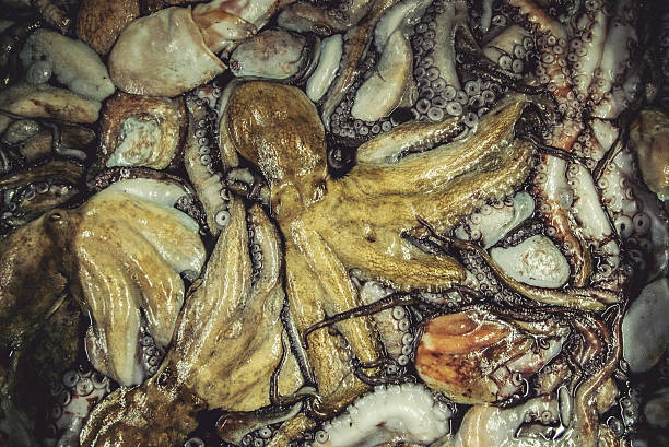 Close-up of multiple octopuses caught together, highlighting the pressure of overfishing on marine biodiversity and the exploitation of ocean resources.