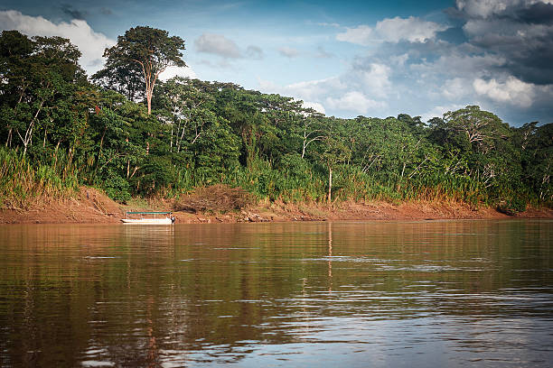 istock Tambopata River at Day 2237773091