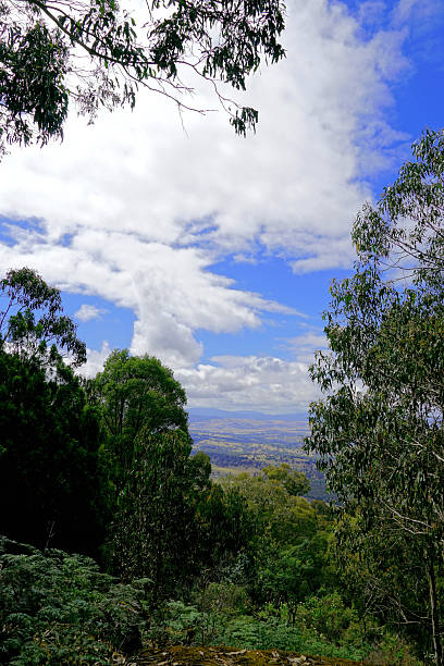 istock Mount Samaria State Park,  High Country ,Victoria, Australia 2237782102