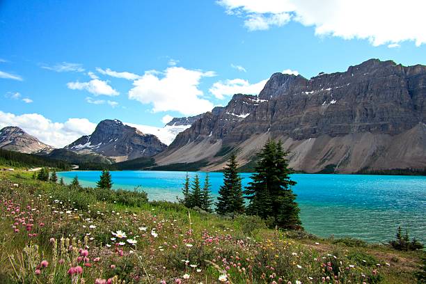 istock Looking towards the Crowfoot Glacier from Bow Lake 2237794367