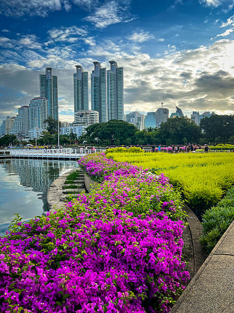 istock Morning building city and park 2237799927
