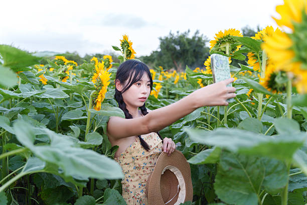 Asian tourists taking selfies among sunflowers