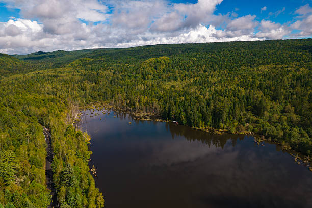 istock Yichun Wuying National Forest Park 2237806420