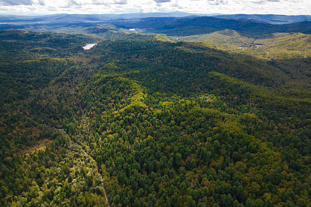 istock Yichun Wuying National Forest Park 2237807383