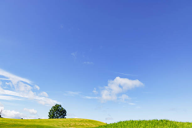 istock Golf cart and beautiful blue sky 2237810030