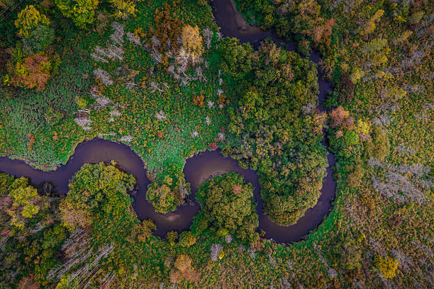 istock Yichun Tangwang River Wetland 2237815300