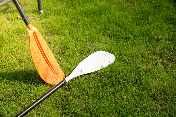 A Dual-Colored Paddle Resting on a Lush Green Lawn