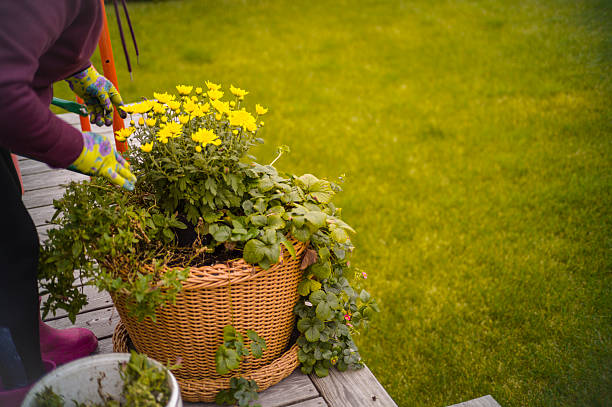 a woman in working gloves replanting plants into a big pot outside the house