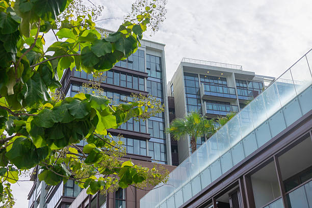 istock Green life, business and building concept, Net Zero, Carbon Neutral. 2237823228