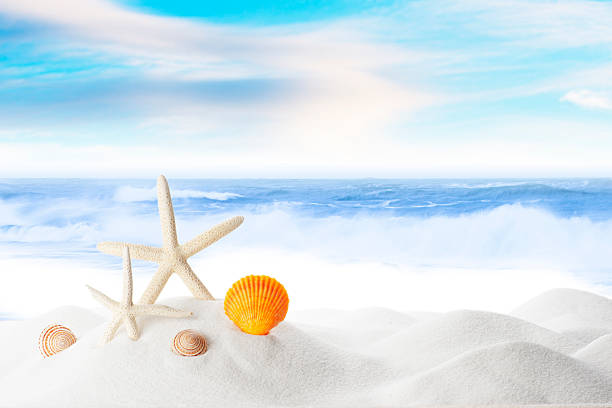 istock Starfish On White Sand Beach with Ocean Wave Splashing 2237824275