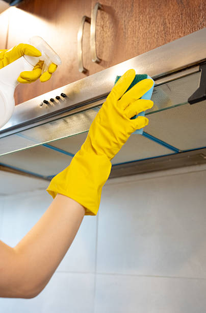 istock Cleaning under cabinet with gloves 2237824726