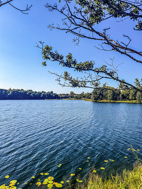 istock Peaceful Lake Landscape with Water Lilies 2237826197